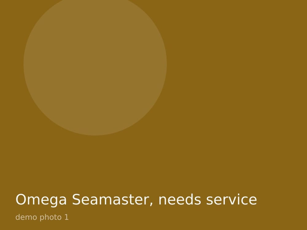 Omega Seamaster, needs service