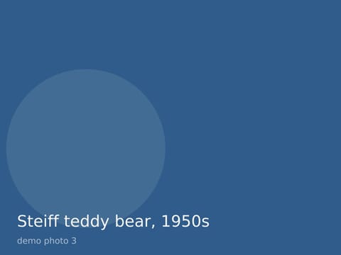 Steiff teddy bear, 1950s, photo 3