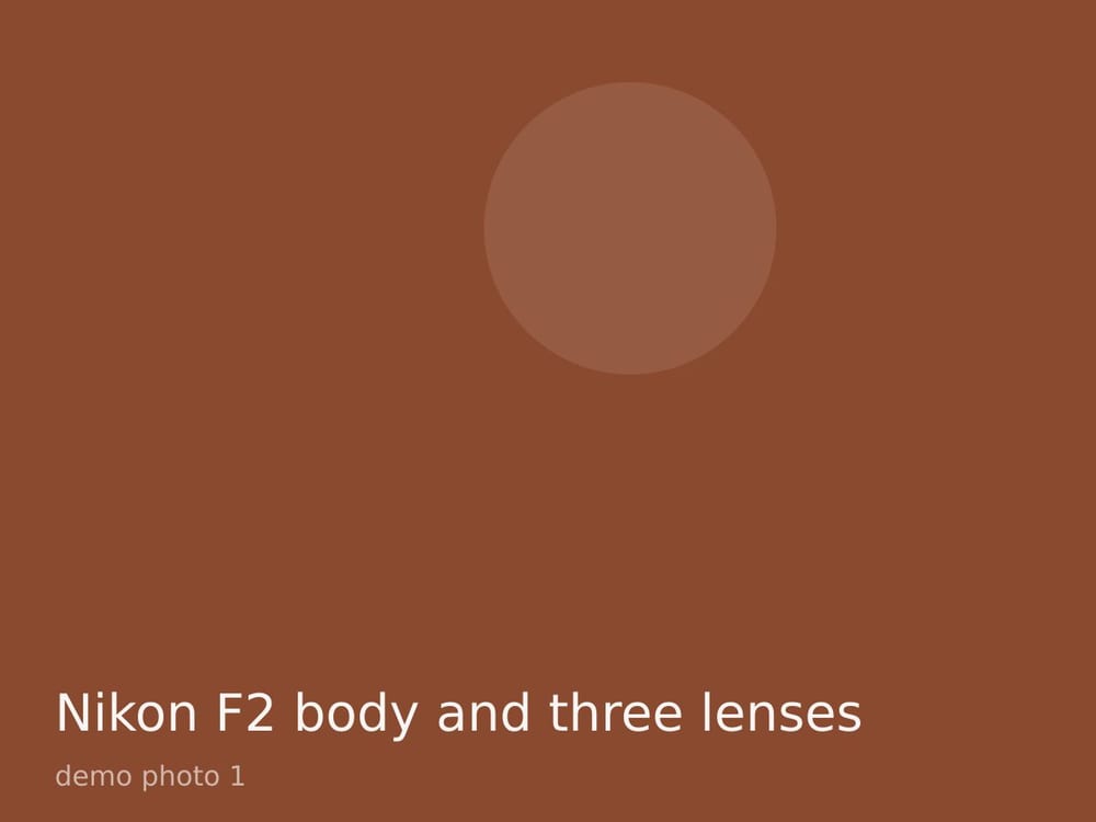 Nikon F2 body and three lenses