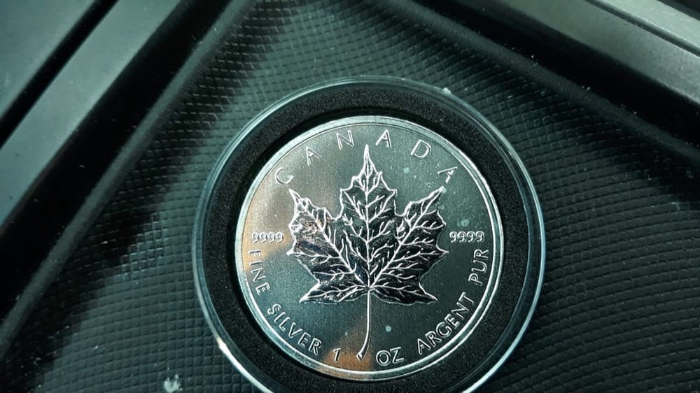 Pair of 1 oz Canadian Silver Maple Leafs